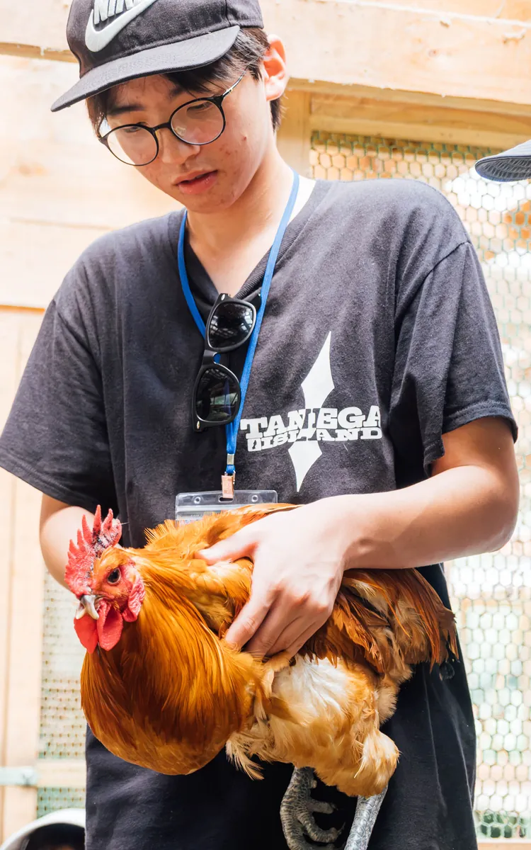 2026年の富山で、ニワトリとふれあう中学生