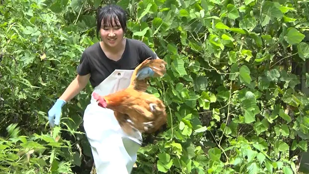 プログラム紹介ムービーのイメージ画像